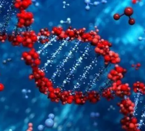 Human Genetics and Computational Medicine