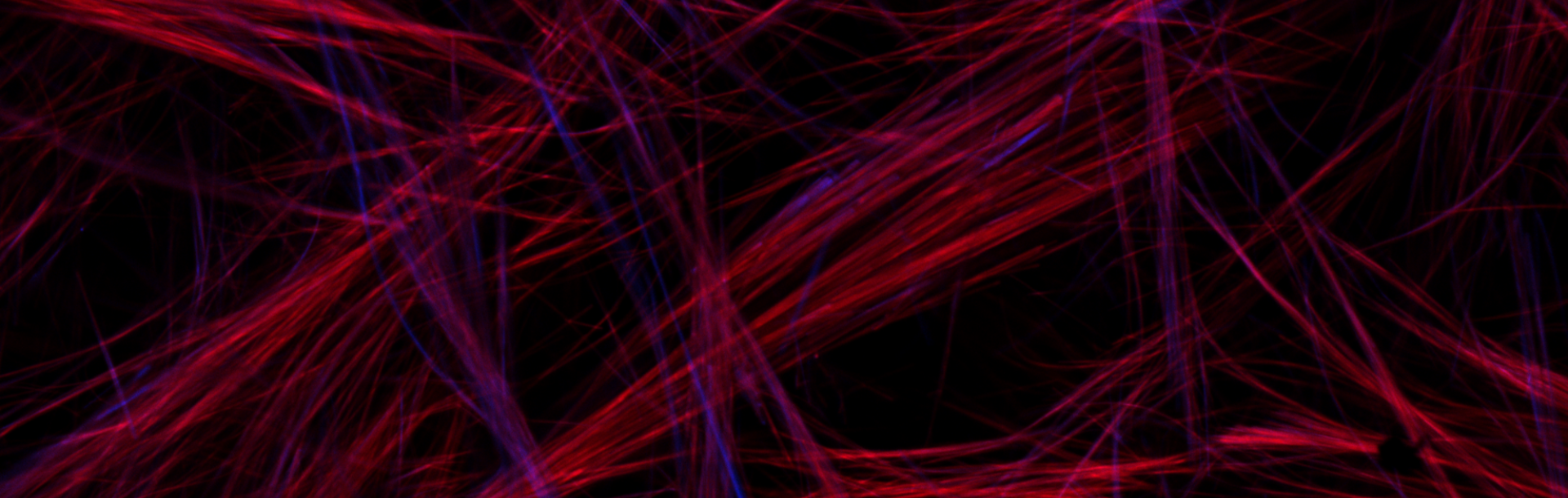 New Insights into Peptide Crystals