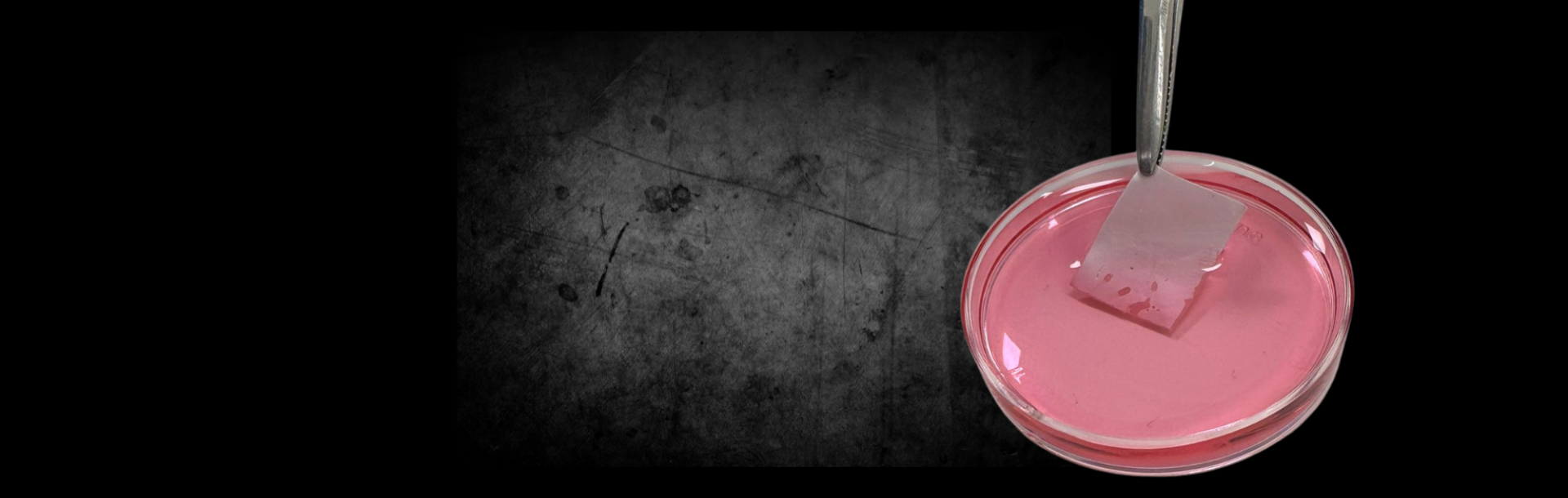 TAU develops bioengineered skin that can speed healing