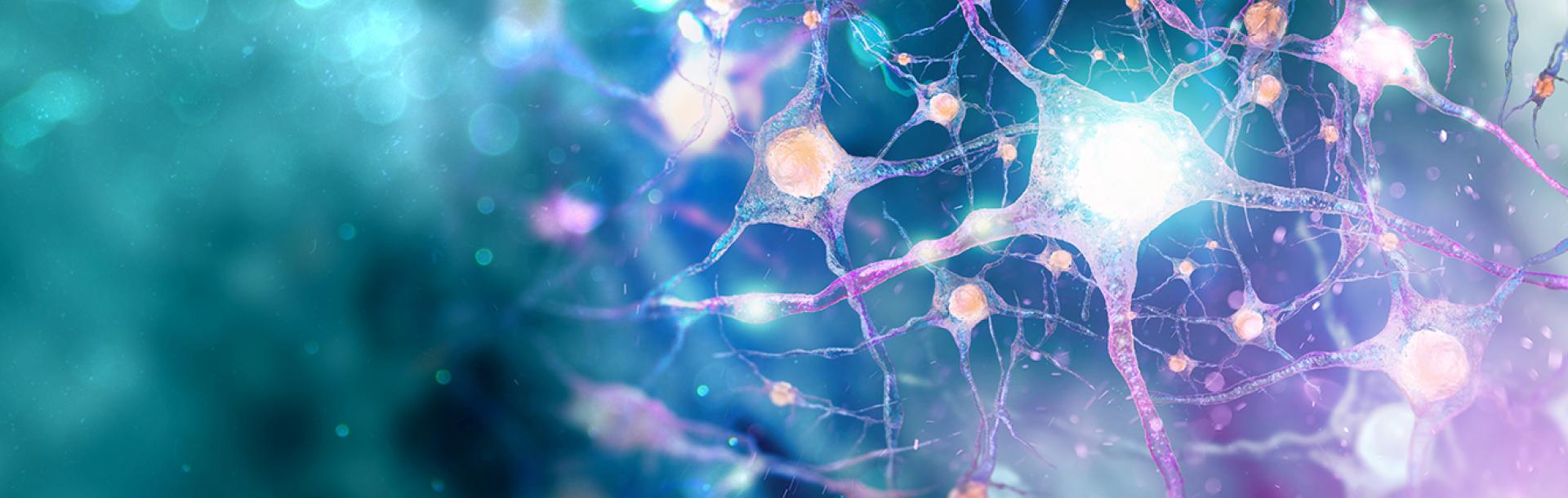 Unveiling the connectivity behind motor cortex activity in goal-directed behavior