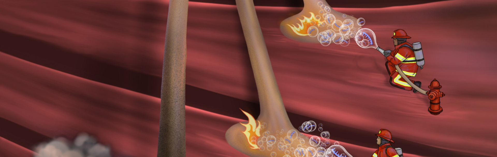 A new discovery from Prof. Perlson’s laboratory