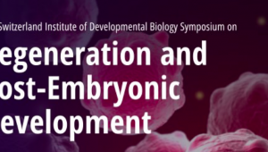 Regeneration and Post - Embryonic Development