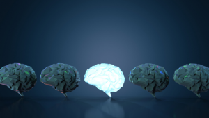 Orbitofrontal Cortex Is Required for Flexible Inference in Mice