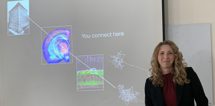 Dec. 31, 2019 Dr. Melanie Samuel presents How to build a synapse: molecules that instruct form and function
