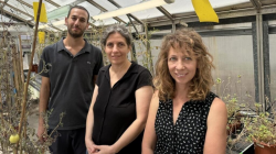 Moths can hear plants: Israeli study finds insects respond to plant distress calls. Guy Zar-Eshhel, Prof. Lilach Hadany and Dr. Raaya Zeltzer (Photo: Tel Aviv University)
