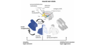 The neurobiology of war: A call for a new field of research