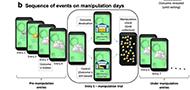 A novel free-operant framework enables experimental habit induction in humans