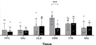 Chronic Voluntary Alcohol Consumption Alters Promoter Methylation and Expression of Fgf-2 and Fgfr1