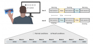 Sleep improves accuracy, but not speed, of generalized motor learning in young and older adults and in individuals with Parkinson’s disease