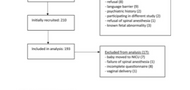 Intraoperative pain during caesarean delivery: Incidence, risk factors and physician perception