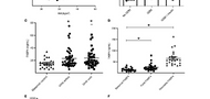 The adipokine FABP4 is a key regulator of neonatal glucose homeostasis