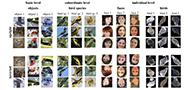 Deep learning models challenge the prevailing assumption that face-like effects for objects of expertise support domain-general mechanisms