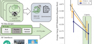 Amygdala self-neuromodulation capacity as a window for process-related network recruitment