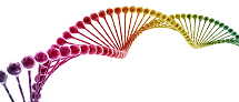 multi color DNA illustration