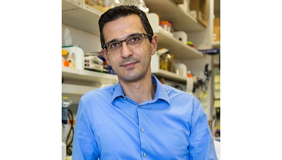 Congratulations to Prof. Dor Salomon on becoming Full Professor!