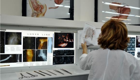 The department conducts extensive research in several areas of human anatomy and human biology