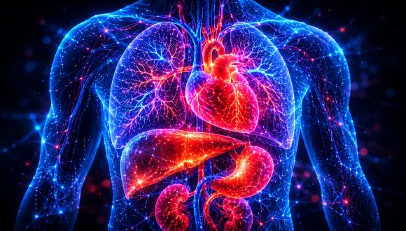 Cadiometabolic Research