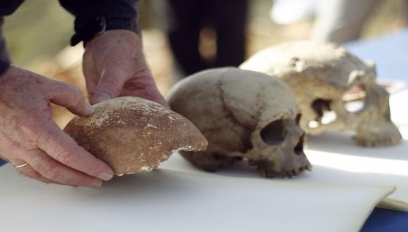 Dan David Laboratory Shmunis Family Anthropology Institute Tel Aviv University