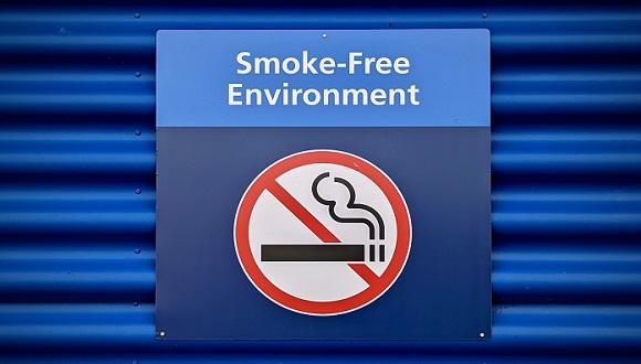 Prof. Rosen's expert opinion accepted by the Supreme Court, The right to breathe smoke-free air in one's own home - opinion