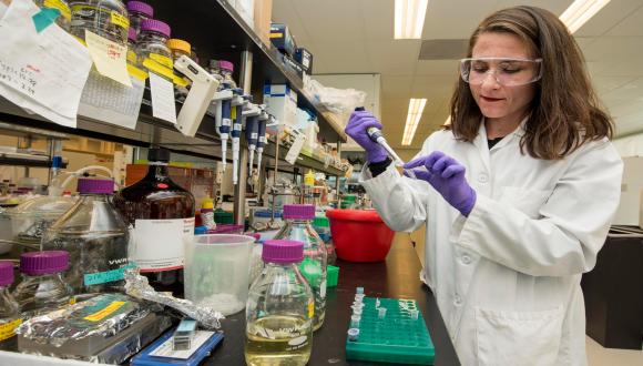 Nurturing Women Scientists: Come hear about our scientists’ experience in their scientific career