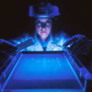 Ethidium bromide (EtBr) is a fluorescent dye commonly used to visualize DNA in agarose gel electrophoresis experiments